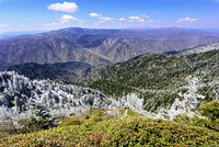 Frosty Spring Day at Cliff Tops, Mount LeConte photo