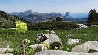 Depuis le plateau du Vercors, Le Mont Aiguille photo