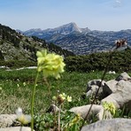 Depuis le plateau du Vercors, Le Mont Aiguille