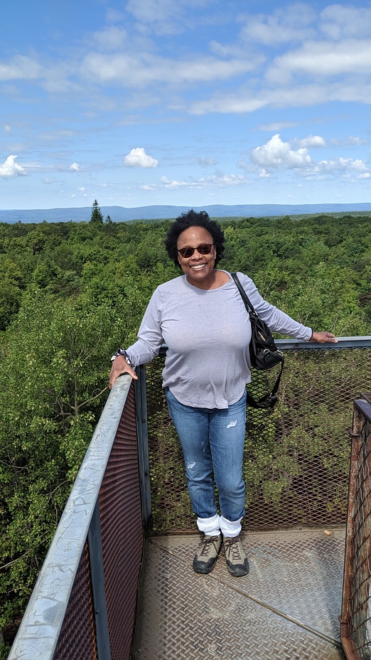 On the lookout tower, Negro Mountain