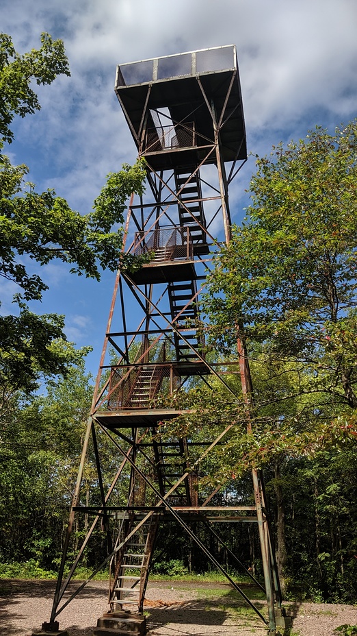 Climb to the Lookout tower, Negro Mountain