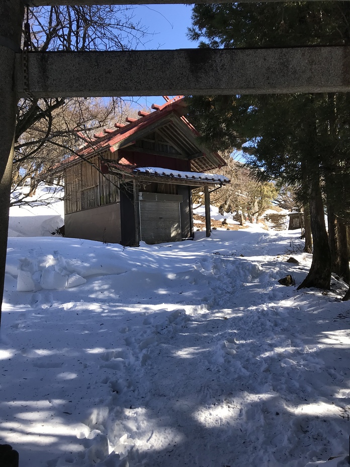 Snow in feb 2022, Mount Ōyama (Kanagawa)