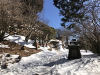 Snow in feb 2022, Mount Ōyama (Kanagawa) photo