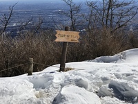 Snow in feb 2022, Mount Ōyama (Kanagawa) photo