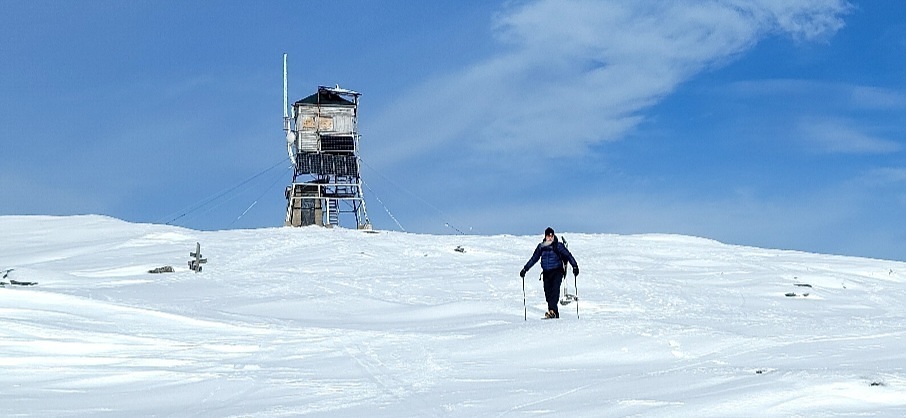 old man walking, Mount Cardigan