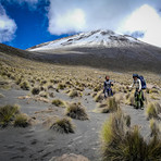 Trek Up To Summit Of Volcan Misti, Picchu Picchu