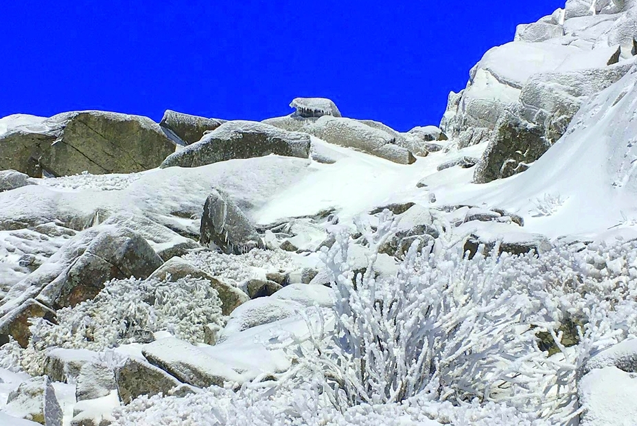 Snow Coral, Mount Monadnock