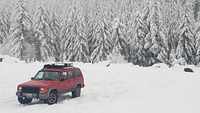 Jeeps on Larch, Larch Mountain (Clark County, Washington) photo