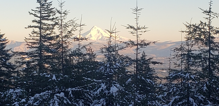 Mt Hood, Larch Mountain (Clark County, Washington)