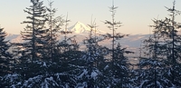 Mt Hood, Larch Mountain (Clark County, Washington) photo