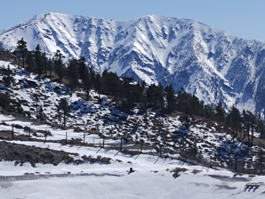 Baldy Backside, Mount San Antonio