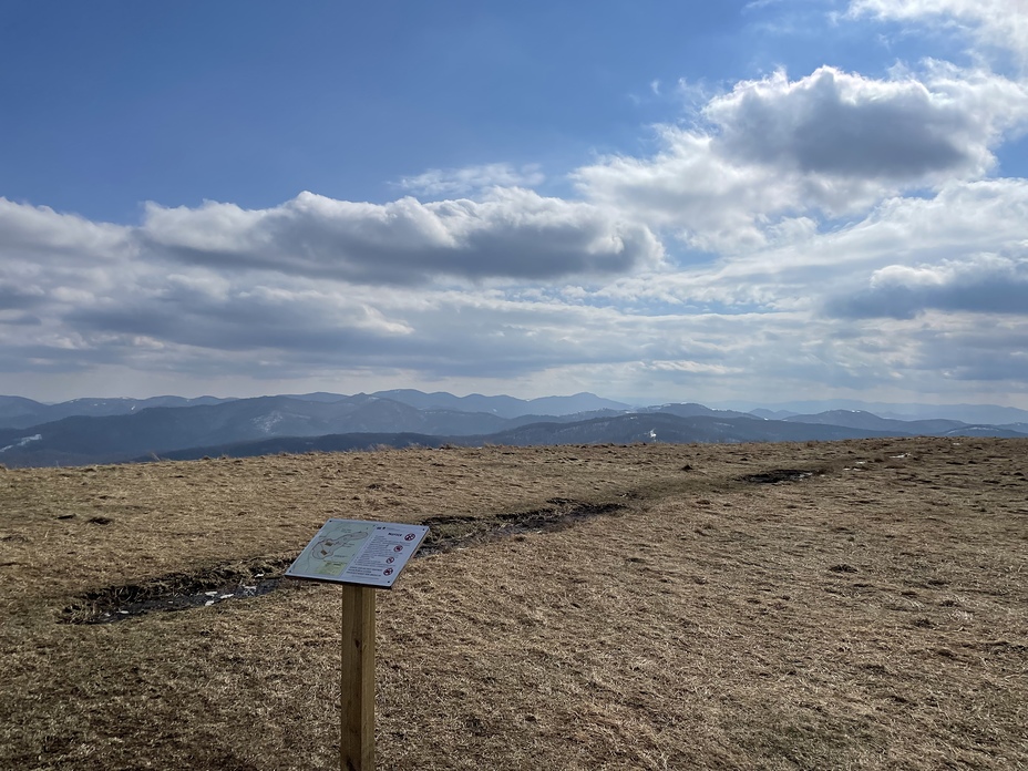 Top of max, Max Patch