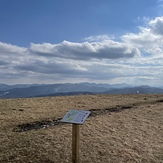 Top of max, Max Patch