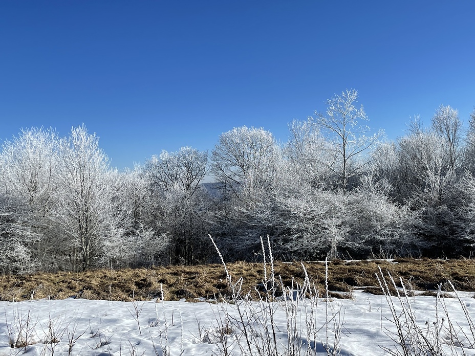 Buckeye ridge, Max Patch