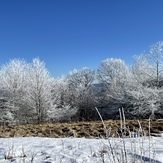 Buckeye ridge, Max Patch