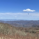Views of buckeye ridge, Max Patch