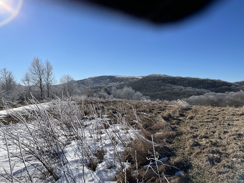 Icy, Max Patch