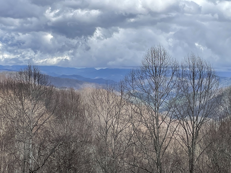 View to the east, Max Patch