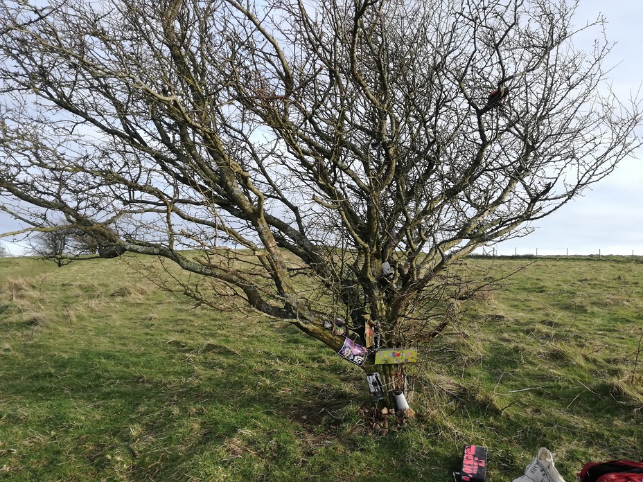 north, Ditchling Beacon