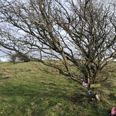 north, Ditchling Beacon