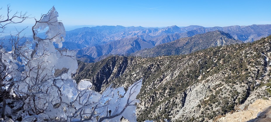 Frozen branches, Ontario Peak