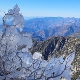 Frozen branches, Ontario Peak