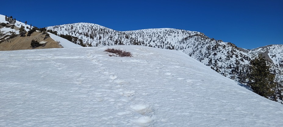 On the snow, Ontario Peak