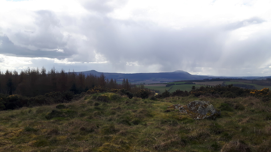 The Lomonds from Cairnie Hill Summit.