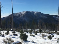 Cobb Mountain  photo