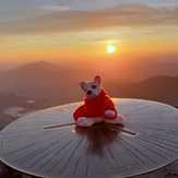 Ted, Snowdon