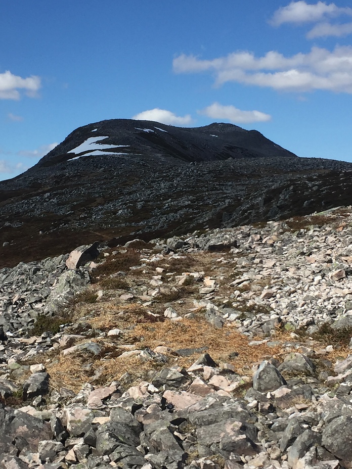 Schiehallion weather