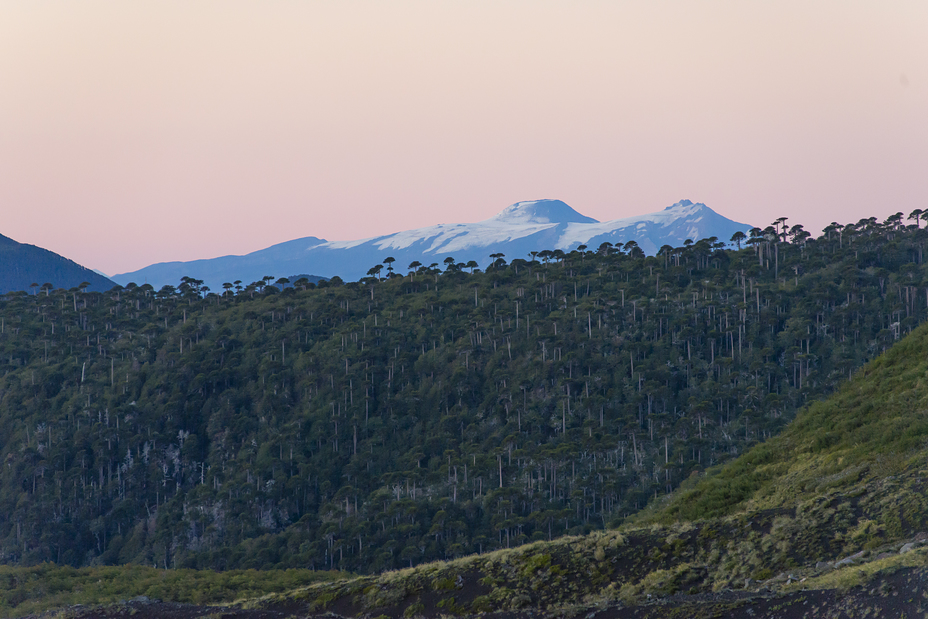 Volcanes Mocho y Choshuenco, Mocho-Choshuenco