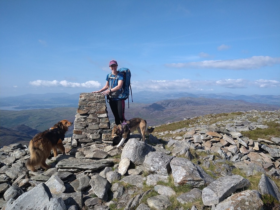 Rhinog Fawr Summit