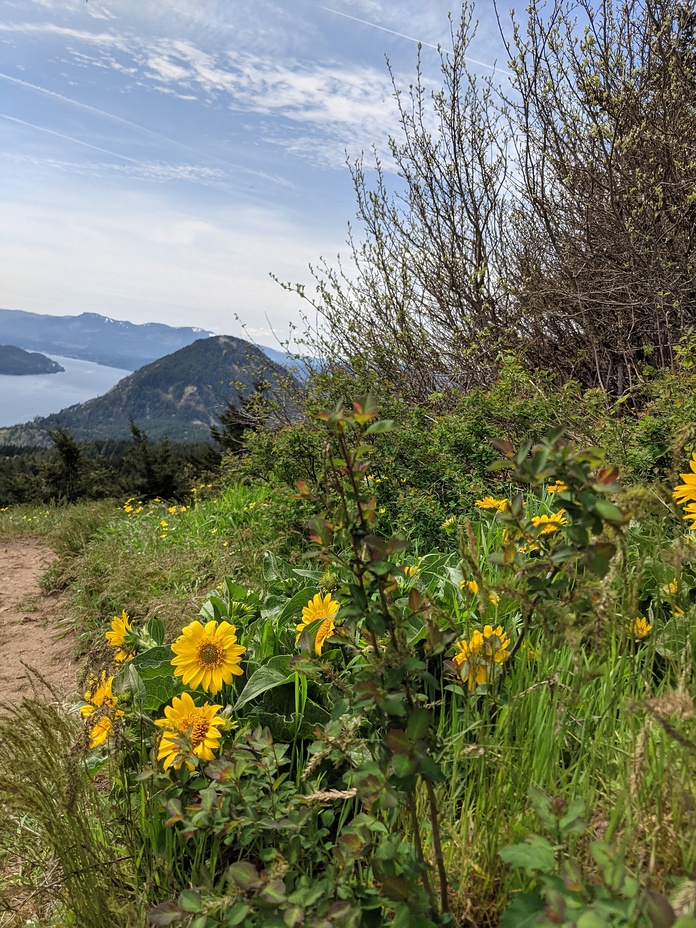 Wind mountain, Dog Mountain