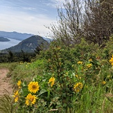 Wind mountain, Dog Mountain