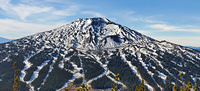 Mt Bachelor from Tumalo Mt, Mount Bachelor photo