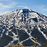 Mt Bachelor from Tumalo Mt, Mount Bachelor