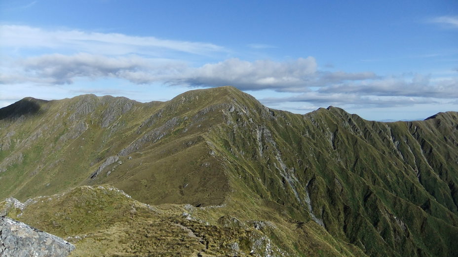 The track to Mt Hector, Mount Hector