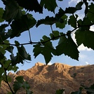 The Qalat