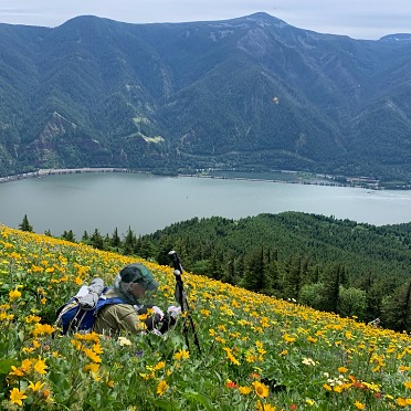 Trying for that perfect spot, Dog Mountain