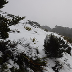 Mt Arthur hut ridge, Mt Aylmer