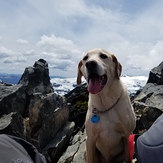 peak, Mount Tallac