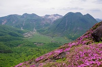 Kuju mountains & Kyushu Azalea, Kuju Group photo