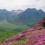 Kuju mountains & Kyushu Azalea, Kuju Group