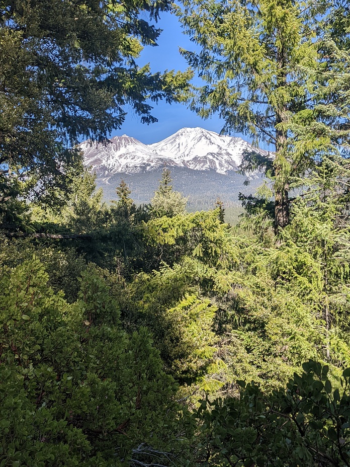 From Spring Hill, Mount Shasta