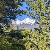 From Spring Hill, Mount Shasta
