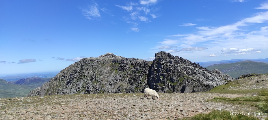 Castell y Gwynt