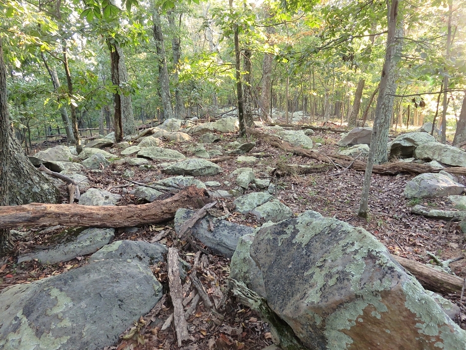 Crest at Purcell's Knob, Purcell Knob