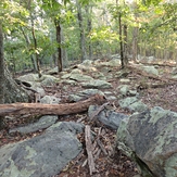 Crest at Purcell's Knob, Purcell Knob
