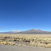 View of the Acotango 